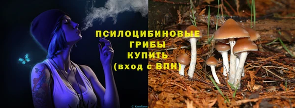 винт Алзамай
