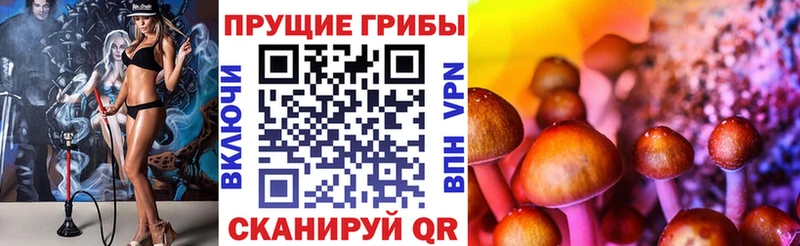 Псилоцибиновые грибы мухоморы  KRAKEN зеркало  Льгов 